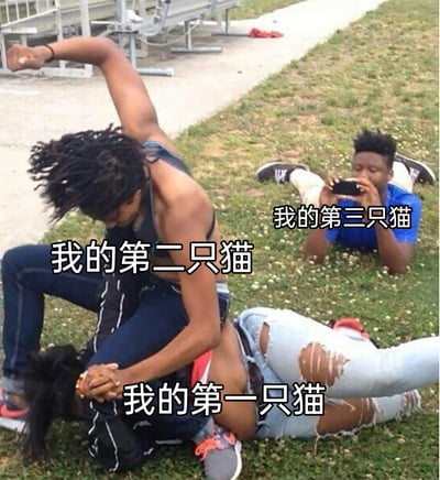 这是一张经过中文文字加注的真人场景梗图，利用草地上三人的互动画面来调侃多猫家庭的猫咪相处日常。画面中被压在下方的人被标注为“我的第一只猫”，骑在上方做出压制动作的人被标注为“我的第二只猫”，趴在一旁用手机拍摄的人被标注为“我的第三只猫”，以此趣味化地表现出先养的猫会被后来的猫欺负，最新加入的猫则像旁观者一样“看热闹”的搞笑状态。