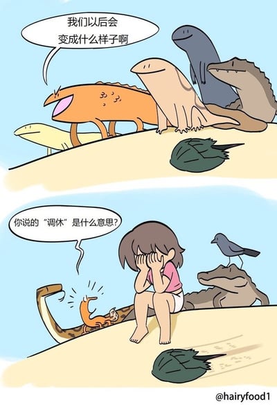 这是一张轻松幽默的四格漫画，描绘了几只爬行动物（恐龙/蜥蜴等）在讨论进化后会变成什么样，而下一格则出现了一位人类小女孩沮丧地坐着。两格之间形成了进化时间流逝的对比，同时小动物问小女孩“你说的调休是什么意思？”，暗示人类社会的新烦恼——调休。漫画运用了动物与人类之间错位幽默，并巧妙地借进化暗讽了现代生活的无奈。