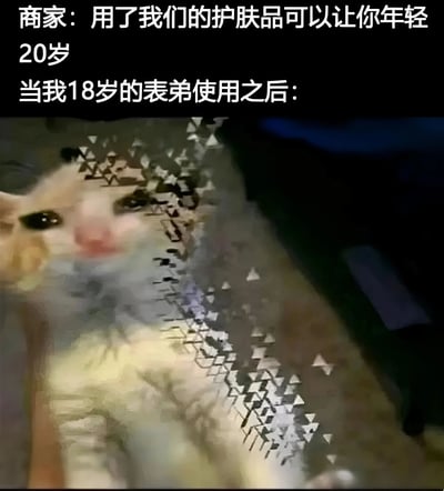 图片上方为商家宣传语：'用了我们的护肤品可以让你年轻20岁'，下方文字'当我18岁的表弟使用之后：'引出一张面部被马赛克状图案模糊处理的猫咪照片。通过18岁本就年轻的表弟使用后反而呈现出类似幼猫的模糊萌态，形成夸张对比，幽默吐槽护肤品宣传效果与实际可能产生的滑稽反差。