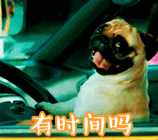 这是一段循环播放的动态GIF，内容为一只巴哥犬坐在汽车驾驶座位置，仰头张嘴，表情显得期待又急切。每帧画面底部都有橙色文字“有时间吗”重复出现，配合狗狗的神态，仿佛在俏皮地反复询问对方是否有空，整体氛围轻松活泼，带有撒娇般的执着感。