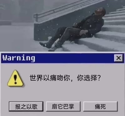 图片上半部分是一个人痛苦地躺在雪地台阶上的场景，下半部分是一个仿电脑系统的警告对话框。对话框内含文字"世界以痛吻你，你选择?"，下方有三个选项按钮："报之以歌"、"扇它巴掌"和"痛死"。这张梗图通过将泰戈尔的名言"世界以痛吻我，要我报之以歌"进行幽默改编，提供了三种夸张的应对痛苦的选择，形成一种黑色幽默效果。
