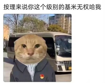 一张幽默的合成图片，画面主体是一只猫的头部被拼接到穿着制服的人物身上，制服上有红色徽章。猫的表情严肃，背景是一辆停在街道上的白色面包车和一些树木建筑。图片上方配有文字：'按理说你这个级别的基米无权哈我'，表达了一种居高临下、不屑一顾的态度，带有明显的幽默和讽刺意味。
