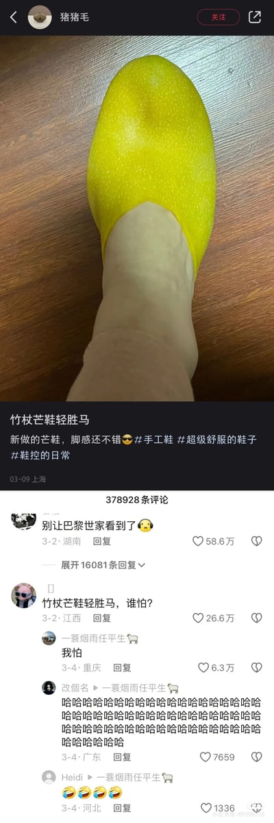 这是一张小红书平台的社交媒体截图，用户“猪猪毛”发布了一张利用视觉错位创作的趣味图片：将梨的上半部分与人类脚部拼接，营造出“用梨制作的芒鞋”的搞笑效果。配文化用苏轼《定风波》中的“竹杖芒鞋轻胜马”，调侃这是新做的芒鞋，脚感不错，并附带#手工鞋 #超级舒服的鞋子 #鞋控的日常 等话题。评论区互动热烈，高赞评论玩梗“别让巴黎世家看到了”，暗指这类创意可能被时尚品牌借鉴；还有网友围绕苏轼的诗词进行趣味互动，一人问“竹杖芒鞋轻胜马，谁怕？”，另一人回复“我怕”，这种反差感引发其他网友的爆笑回复，整体内容充满轻松趣味的玩梗氛围，结合了视觉创意、古典诗词和时尚调侃。