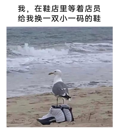 暂无描述