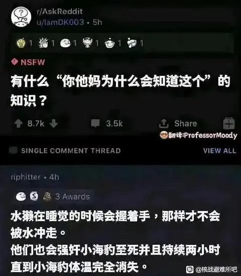 海豹