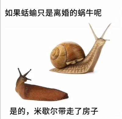 这是一张脑洞搞笑类梗图，采用左右对比的构图形式，左侧展示了没有外壳的蛞蝓，右侧展示了带着螺旋外壳的蜗牛。图中通过拟人化的离婚场景玩梗：上方配文‘如果蛞蝓只是离婚的蜗牛呢’抛出趣味脑洞，下方配文‘是的，米歇尔带走了房子’给出搞笑解答，将蜗牛的外壳类比为婚姻中的房产，调侃蛞蝓是离婚后被配偶米歇尔‘带走了房子’（失去外壳）的蜗牛，用生活化的离婚分财产场景来趣味解读两种软体动物的形态差异，脑洞大开，充满幽默感，让严肃的生物差异变得诙谐有趣。