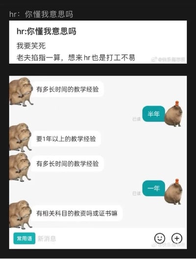 梗图分为上下两部分，上方是关于HR的吐槽文字：“hr:你懂我意思吗 我要笑死 老夫掐指一算，想来hr也是打工不易”，表达了对HR打工处境的调侃与共情。下方是模拟聊天界面，用水豚形象演绎面试场景：一只水豚（扮演HR）接连提问“有多长时间的教学经验”“要1年以上的教学经验”“有相关科目的教资吗或证书嘛”，另一只水豚（扮演应聘者）则从“半年”改口“一年”，幽默展现了面试中应聘者为迎合要求而临时调整答案的有趣现象，整体风格轻松搞笑，戳中职场人共鸣。