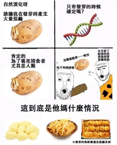 这是一张结合科普与搞笑的多格梗图，采用拟人化的叙事方式展开内容：第一格中发芽土豆自述是自然演化让自己在发芽时产生大量茄碱；第二格以DNA形象提出质疑“只有发芽的时候确定吗？”；第三格发芽土豆直白表示，产生茄碱是为了毒死捕食者尤其是人类；第四格是两个卡通原始人形象，一个手持刀具，震惊喊话“沒錯這就是……啥洨 吃了死掉掉喔”，另一个激动地叫嚷要“剝他的皮 挖他的芽 再燒死他”；图的底部展示了用土豆制作的薯条和烤土豆，配文“這到底是他媽什麼情況”，形成土豆“要毒死人类”却被人类做成美食的强烈反差，制造笑点。同时底部右下角有小字提示“※發芽的馬鈴薯還是建議丟掉”，在搞笑之余传递了发芽土豆有毒的食品安全常识。