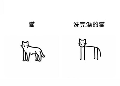 这是一张左右布局的黑白极简线稿对比图，左侧上方标注文字“猫”，下方是一只体态敦实的猫咪简笔画，有着圆润的身体轮廓、短粗的四肢，呈现出猫咪毛发蓬松时的正常体型，四足平稳站立，表情平静；右侧上方标注文字“洗完澡的猫”，下方是一只被极度夸张化的猫咪简笔画，原本蓬松的身体完全消失，只剩下细长的四肢和小小的头部，形象地调侃了猫咪在洗完澡后，毛发被水打湿贴在身上，原本看起来蓬松的“虚胖”体型缩水，露出真实纤细身材的有趣现象，用夸张的艺术手法放大了猫咪洗澡前后的体型反差，充满幽默趣味，精准戳中养猫人群的日常观察和笑点。
