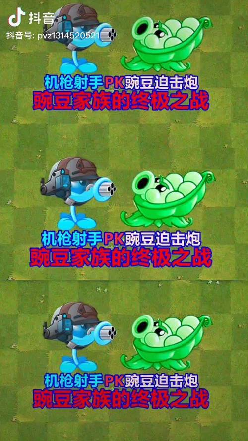 植物大战僵尸