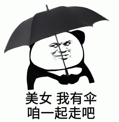 这是一张黑白风格的熊猫头表情包，熊猫头部被替换成带有戏谑表情的人类面孔，角色正手持一把黑色雨伞。图片下方配有文字“美女 我有伞 咱一起走吧”，通过可爱的熊猫头形象与直白的搭讪台词形成反差萌，营造出幽默搞笑的效果。