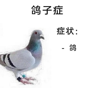 这是一张图文混排的静态搞笑梗图，画面左侧是一只呈站立姿态的灰色现实鸽子，它眼神平静，脚部带有脚环；画面右侧及上方配有黑色文字，内容为“鸽子症”“症状：- 鸽”。图中运用了谐音梗，“鸽”谐音日常用语里“放鸽子”的鸽，将生活中常见的爽约、失约行为戏称为“鸽子症”，并用极简的文字对应鸽子图片，制造出荒诞又幽默的调侃效果，用来吐槽那些经常爽约的人。