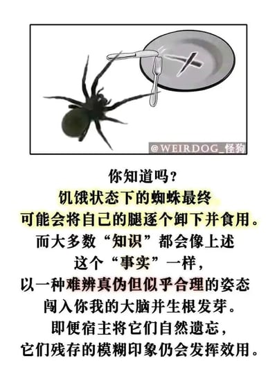 这是一张图文结合的讽刺类内容图，上半部分是卡通风格的拟人化蜘蛛，它对着一个摆放了刀叉的盘子，仿佛正准备进行“用餐”的动作，呼应文字里提到的蜘蛛吃自己腿的说法；下半部分是一段文字，先抛出一个看似合理的“科普事实”——饥饿的蜘蛛会卸下自己的腿食用，随后笔锋一转，指出这类难辨真伪的“知识”会轻易进入人们的大脑，即便人们后来自然遗忘了这些内容，它们残留的模糊印象也依然会对人产生影响，以此讽刺那些不实、难辨真伪的信息在大众认知中传播并产生潜在影响的现象。