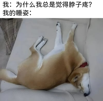 一张幽默梗图，上方文字为“我：为什么我总是觉得脖子疼？我的睡姿：”，下方是一只棕白相间的狗四脚朝天、身体扭曲地躺在沙发上熟睡的照片。通过将人的脖子疼问题与狗的奇葩睡姿联系起来，搞笑地暗示不良睡姿是导致脖子不适的原因。