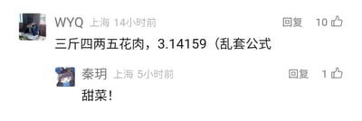 这是一张社交媒体评论区的横版截图，展示了两条来自上海用户的评论内容。第一条是用户WYQ在14小时前发布的“三斤四两五花肉，3.14159（乱套公式”，内容将食物表述和圆周率数字做趣味关联，还标注了“乱套公式”，该评论获得了10个点赞；第二条是用户秦玥在5小时前发布的“甜菜！”，内容简短直白，获得1个点赞。两条评论的用户均显示定位为上海，评论区呈现出普通用户之间轻松玩梗、趣味互动的氛围，截图中还包含了两位用户的头像，WYQ的头像是真人伏案的照片，秦玥的头像是卡通风格的人物图像。