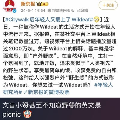 这张图是上下拼接的内容：上半部分是新京报2024年6月1日发布的微博，介绍继Citywalk后年轻人新流行的户外生活方式Wildeat，将其定义为在自然环境中就地开饭、追求野生感与松弛感的“户外野吃”；下半部分是网友的吐槽内容，配上小丑表情包，讽刺这种刻意造出自创英文词的行为，指出野餐的英文是picnic，调侃相关群体为“文盲小资”。
无特殊双关、谐音梗，核心是吐槽刻意营造小众流行的行为。