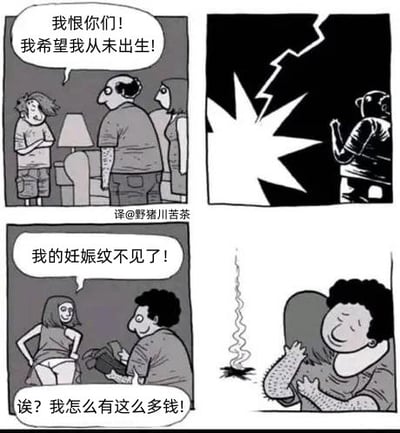 本漫画通过黑色幽默的方式，表现了主角对人生不满的极端想法，并以荒诞的结果进行反转。漫画分为四格：第一格主角愤怒表示“我恨你们！我希望我从未出生”；第二格闪电降临；第三格胎儿视角下妈妈发现孕纹消失了，主角本人变成了钱；最后主角抱着一堆钱开心。整个故事设计充满讽刺以及虚无主义意味，强调了一种“钱才是真正的解脱”的荒诞感。存在一定的哲理性双关，既是对现实的调侃也是生存意义的讽刺。