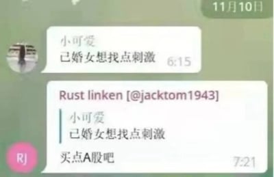 这是一张社交平台聊天记录截图，日期显示为11月10日，昵称为“小可爱”的账号发送消息称“己婚女想找点刺激”，另一位昵称为Rust linken [@jacktom1943]的账号回复“买点A股吧”。内容玩了错位反差梗：原本“找点刺激”的语境指向婚外感情相关的不当追求，回复却将“刺激”引导到A股投资上，调侃A股市场波动大，投资过程（尤其是亏损）体验十分“刺激”，错位的回答制造出幽默效果。