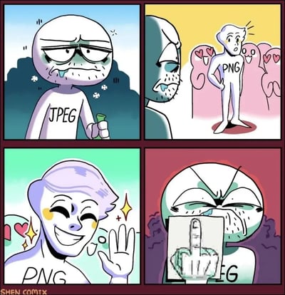 这张四格幽默漫画通过拟人化JPEG和PNG两种图片格式来表达一种常见的网络文化现象。JPEG形象邋遢、无精打采，对比之下，PNG则更为出众和受欢迎。最后一格JPEG挥舞着PNG图片，上面有中指手势，讽刺地表达了JPEG对PNG的嫉妒和无奈。整体风格轻松诙谐，带有对网络图片格式鄙视链的调侃，也隐含着高质量、透明图片对用户的吸引力。

*本图有轻微双关和网络吐槽意味，JPEG代表“低质量”，PNG象征“高人气”。*
