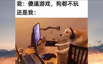 暂无描述