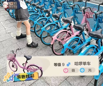 这张图的主体是城市路边的共享单车停放区，停放着大量常规蓝色款哈啰单车，其中夹杂了一辆少见的粉色款哈啰单车，画面左侧露出了一位穿着灰色百褶短裙、白色堆堆袜、黑色洞洞鞋的女生的下半身。图片下方被PS了类似二次元抽卡游戏的角色属性展示界面：左侧是粉色哈啰单车的缩略图，搭配“异色炫彩”的稀有度标签，右侧标注等级为9，名称为哈啰单车，附带“萌”“光”两个属性标签，将少见的粉色共享单车玩梗类比为游戏中抽到的稀有限定角色，趣味性十足。