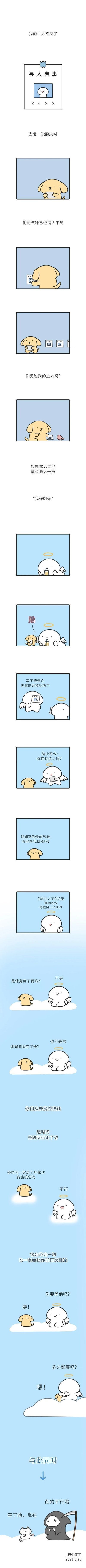 这是一则治愈系竖屏连环漫画，讲述了软萌的小黄狗一觉醒来发现主人不见，到处张贴印有主人画像的寻人启事，还向小鸟打听主人的下落，满心都是想要告诉主人“我好想你”的执念。后来小狗把寻人启事贴到了天堂，被天使注意到，天使温柔地告知它主人在另一个世界，不是彼此抛弃，是时间带走了主人，最后小狗也来到天堂，和久别的主人温暖重逢，整个故事充满了宠物与主人之间深厚的羁绊，治愈又暖心。