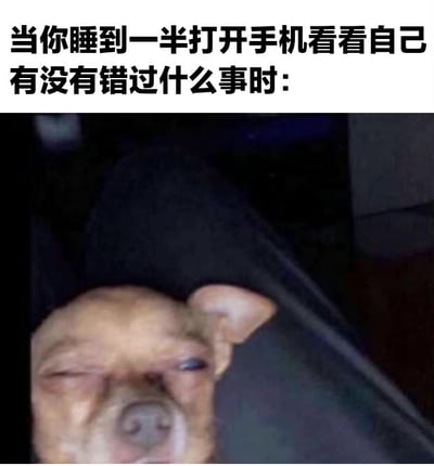 图片上半部分为黑色文字：'当你睡到一半打开手机看看自己有没有错过什么事时：'，下半部分是一只吉娃娃狗狗的特写照片。狗狗一只眼睛微闭，另一只眼睛半睁，表情困倦又带着一丝警惕，完美还原了人们深夜醒来忍不住刷手机的状态，充满生活气息和幽默感。