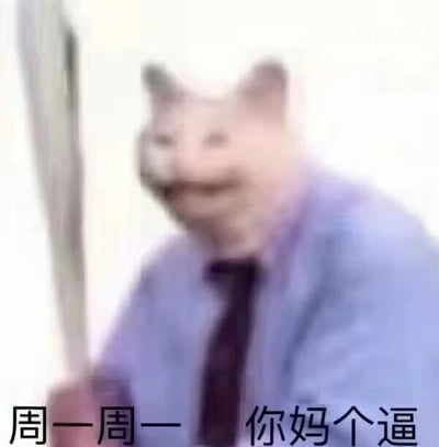 这是一张经过P图改编的静态表情包，将猫咪的头部与穿着蓝色衬衫、深色领带的人类身体合成在一起，画面带有模糊效果，猫咪的表情看起来烦躁又无奈。图片底部配有粗鄙直白的文字“周一周一 你妈个逼”，直接宣泄出对周一工作日的抗拒、烦躁情绪，这类表情包通常被职场人士用来表达不想上班、对周一的厌恶心态，用夸张的情绪和形象放大了职场人面对工作日开端的负面感受。