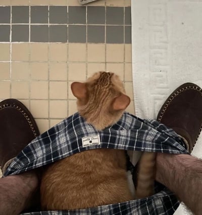 一只棕色橘猫穿着蓝白格子衬衫，乖巧地坐在主人的双腿之间，从背后看能清晰看到它竖起的耳朵和衬衫上的标签。主人穿着棕色鞋子，背景是灰米色相间的瓷砖墙和一条带有花纹的白色毛巾，整体画面温馨治愈，展现了宠物与主人的亲密日常。
