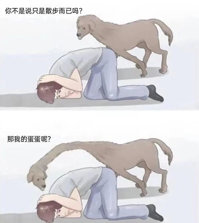 这是一张上下对比的连环卡通图，描绘了主人与狗狗的搞笑互动场景。上图中，一位穿着灰色上衣和蓝色裤子的男性角色双手抱头跪在地上，背后一只棕色的狗站立着，上方配文“你不是说只是散步而已吗？”；下图中，男性角色姿势不变，狗狗则将头伸向他的下方，配文“那我的蛋蛋呢？”。通过狗狗前后动作的变化和主人崩溃的姿态，形成幽默反差，暗示散步过程中发生了意外的尴尬状况。