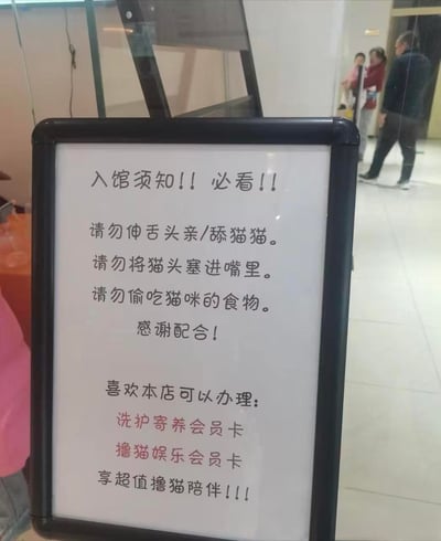 图片展示了某猫咖门店入口处的黑色边框指示牌，牌面顶部用醒目感叹号标注“入馆须知!! 必看!!”，下方列出三条令人捧腹的奇葩规则：“请勿伸舌头亲/舔猫猫”“请勿将猫头塞进嘴里”“请勿偷吃猫咪的食物”，末尾附“感谢配合！”。下半部分则宣传可办理“洗护寄养会员卡”“撸猫娱乐会员卡”以“享超值撸猫陪伴!!!”。背景可见玻璃门及模糊的过往行人，整体场景为公共场所真实环境。规则内容因过于夸张反常产生强烈幽默效果，无谐音梗或双关含义。