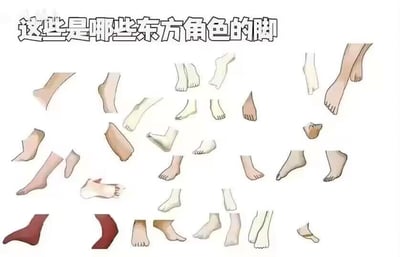 一张东方Project角色脚部识别测试图，画面中随机排列着20多只不同姿势、穿着或肤色的动漫风格脚部插画，顶部配有文字'这些是哪些东方角色的脚'，用于挑战粉丝对角色细节的熟悉程度。图中脚部线条简洁，部分带有袜子、肤色差异等特征，整体为白底线稿风格，属于ACG粉丝创作的趣味互动内容。