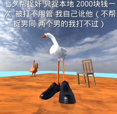 图片为3D渲染场景，前景是一只穿着黑色皮鞋的白色大鹅，背景中可见一只棕色的鸡和一把木质椅子，天空呈现蓝天白云。画面上方配有醒目文字：“七夕帮捉奸 只捉本地 2000块钱一次 被打不用管 我自己讹他（不帮捉男同 两个男的我打不过）”。整体以幽默调侃的方式虚构了七夕节提供捉奸服务的搞笑内容，其中“不帮捉男同”的表述通过自嘲“两个男的我打不过”增强了喜剧效果。