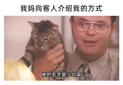 这是一张改编自影视截图的搞笑梗图，上方配文点明主题“我妈向客人介绍我的方式”，下方是美剧《办公室》的截图，图中戴眼镜的男子抱着一只表情嫌弃、眼皮半耷拉的猫咪，配文“他的名字是小垃圾”。这张图用中式家庭里父母常常用看似嫌弃实则亲昵的外号称呼孩子的日常，制造出强烈的反差感，精准还原了被妈妈用这类调侃式外号介绍时，孩子那种无奈又好笑的心情，引发众多网友的共鸣。