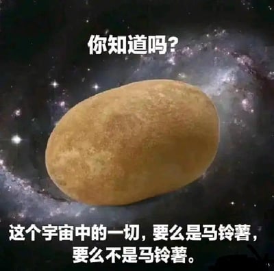 这是一张静态单图类的图文混排梗图，背景选用了布满璀璨星辰的螺旋宇宙星系画面，视觉上营造出宏大的宇宙场景；画面正中心放置了一颗放大的、外观写实的马铃薯，形成了生活化食材与浩瀚宇宙的强烈视觉反差。图中配有两行白色文字，上方是引导语“你知道吗？”，下方是核心玩梗内容“这个宇宙中的一切，要么是马铃薯，要么不是马铃薯。”这句话套用了逻辑学中的排中律——在同一思维过程中，对同一对象的两个相互矛盾的判断，必有一真，没有第三种可能，用马铃薯这个接地气的事物来包装严肃的逻辑定律，制造出荒诞、无厘头的搞笑效果，图中没有双关、谐音梗或暗示内容。
