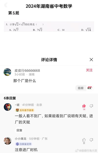 图片展示了2024年湖南省中考数学第5题，题目为计算√2×√7的结果，选项包括A.2√7、B.7√2、C.14、D.√14。下方是社交媒体评论区截图，用户“皮皮行66666668”提问“那个厂是什么”，另一用户“-破-”回复“一般人看不到厂，如果能看到厂说明有天赋，进厂的天赋”，“小小爆龙”补充“注意进厂时机”。
图片中的幽默来自“厂”字的谐音梗，将严肃的中考数学题与网络流行语“进厂”结合，形成反差萌的搞笑效果。