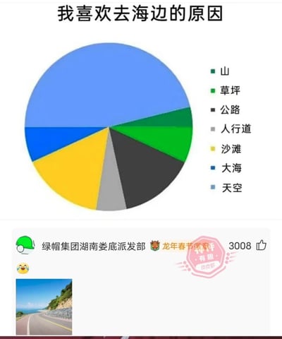 图片上方为标题“我喜欢去海边的原因”，下方是一个彩色饼图。饼图中各部分占比从大到小依次为：蓝色的“天空”（占比最大）、稍小的蓝色“大海”、黄色“沙滩”、黑色“公路”、灰色“人行道”、绿色“草坪”和绿色“山”。图表右侧有对应颜色和名称的图例。图片底部包含一个类似社交媒体帖子的元素，显示用户名“绿帽集团湖南娄底派发部”、“龙年春节敬贺”字样、3008个点赞图标，以及一张小图（内容为沿海公路风景），右下角还有“有趣 皮皮虾”的粉色印章水印。
该图通过将“去海边的原因”用不合理的饼图分类（如包含山、公路等人行道等非海边核心元素），且“天空”占比最大，形成幽默反差，属于搞笑类图表梗图。