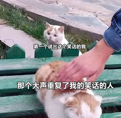 图片展示了两只猫和一只正在抚摸猫咪的人手。上方的白猫坐在绿色栅栏后，表情略显疑惑地看着前方，配文"第一个说出这个笑话的我"。下方的橘白猫正被人抚摸头部，显得十分享受，配文"那个大声重复了我的笑话的人"。这张图通过猫咪的不同反应幽默地表现了原创者与重复者之间的有趣对比。