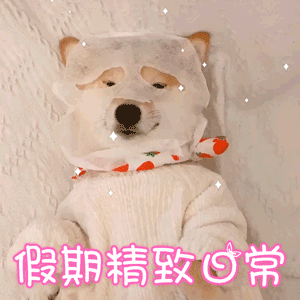 狗狗的假期精致日常：敷面膜也要仪式感