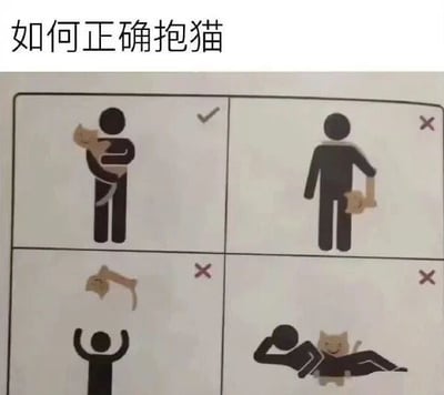 这是一张图文混排的搞笑科普梗图，顶部配有标题文字“如何正确抱猫”，下方分为四个均等的小格，以卡通图标形式呈现抱猫的正误方式：左上格是卡通人形将猫安稳抱在怀中，旁侧标注对勾，代表这是正确的抱猫方式；右上格是卡通人形拎着猫的后颈，旁侧标注叉号，属于错误抱法；左下格是卡通人形将猫向上抛起，旁侧标注叉号，属于错误抱法；右下格是卡通猫趴在躺卧的卡通人形身上，旁侧标注叉号，这个错误抱法带有反转搞笑的效果，实际是猫占据主导地位，违背了“人抱猫”的常规逻辑，用夸张幽默的方式强化正确抱猫的认知，整体风格简洁有趣，兼具养宠知识科普和娱乐性。