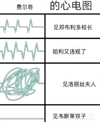 这是一张基于《哈利·波特》IP创作的趣味图文混排表情包，以霍格沃茨管理员费尔奇的心电图变化为核心，用不同的心电图波形对应他面对不同场景的情绪状态：见到邓布利多校长时，心电图呈现平稳规律的波形，体现他此时心态安分平稳；得知哈利·波特又违规时，心电图波形变得更密集，表现出他的烦躁与头疼；见到自己的爱猫洛丽丝夫人时，心电图变成杂乱缠绕的线条，展现出他极度激动、充满爱意的状态；见到爱搞恶作剧的韦斯莱双子时，心电图变成一条直线，还原出他被双子折腾得麻木、无力的心态，用这种夸张的方式趣味化还原了费尔奇在原作里的人物特质。