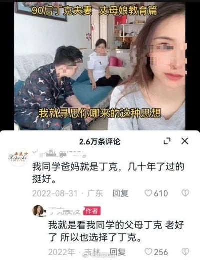 图片展示了一个家庭场景，内容涉及90后丁克夫妻与丈母娘之间的对话。画面中有三个人物，一名穿着花色睡衣的男子和一名白衣女子坐在沙发上，另一名灰衣女子出现在前景。图片上方有文字'90后丁克夫妻 丈母娘教育篇'，中间配有文字'我就寻思你哪来的这种思想'，显示这是一个关于丁克生活方式的家庭讨论场景。下方展示了社交媒体评论区，有用户分享同学父母丁克生活的正面例子，以及作者回应自己受此影响选择丁克。