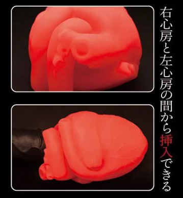 图片包含上下两张静态图拼接，均展示红色心脏模型。上图为心脏模型整体外观，呈红色立体形态；下图显示一个黑色长条形物体从心脏模型的右心房与左心房之间插入的状态。右侧配有日文文字说明：“右心房と左心房の間から挿入できる”，意为“可以从右心房和左心房之间插入”。整体可能用于医学教学或解剖学演示，展示心脏结构及相关操作。