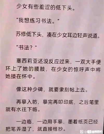 图片展示了一段小说对话截图，内容为一位羞涩少女表示想练习书法，而角色苏修则用充满双关意味的书法术语回应，其中包含明显的性暗示。
双关/暗示：文中大量使用书法相关术语如"隶刻"、"摹"、"临"、"笔"、"墨"等，通过语义双关构建性暗示内容。