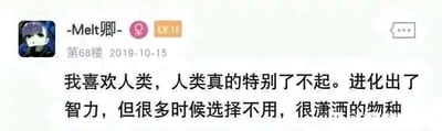 这是一张论坛类社交媒体的静态截图，属于图文混排内容，展示了用户"-Melt卿-"（带有LV.11等级标识和女性性别标识）在2019年10月15日发布的第68楼评论。评论以幽默反讽的语气评价人类：“我喜欢人类，人类真的特别了不起。进化出了智力，但很多时候选择不用，很潇洒的物种”，用调侃的方式点出人类有时会做出舍弃智力的行为，观点风趣独特。