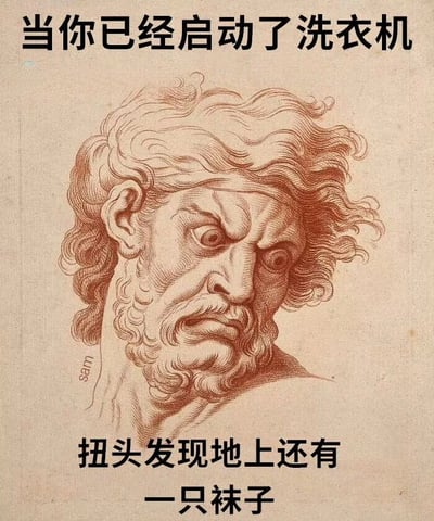 图片主体为一幅古典风格的线描肖像画，描绘了一位卷发、蓄有胡须的男性人物，其面部表情极为夸张，双眼圆睁、眉头紧锁，呈现出震惊与抓狂的情绪。画面上方配有文字“当你已经启动了洗衣机”，下方文字为“扭头发现地上还有一只袜子”。通过将古典艺术中戏剧性的人物表情与现代生活中“洗衣时忘放袜子”的常见小烦恼相结合，形成强烈的反差萌，幽默地展现了人们遇到此类情况时的崩溃心理。