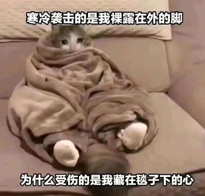 这是一张静态的宠物表情包图片，画面主体是一只猫咪，它将身体紧紧裹在毯子里，只露出脑袋和两只小爪子，眼神看起来委屈又可怜。图片上下配有拟人化的吐槽文字，上方文字为“寒冷袭击的是我裸露在外的脚”，下方文字为“为什么受伤的是我藏在毯子下的心”，用夸张的情绪表达，把猫咪的状态和人类在冬日里的委屈感结合，营造出搞笑又容易引发共情的氛围，非常适合在聊天时用来抒发冬日里的低落、emo情绪。