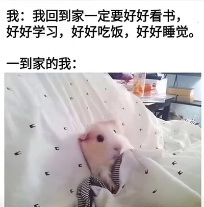 这张梗图通过上下对比的文字和图片，幽默地展示了人们常有的计划与现实的差距。上方文字写着："我：我回到家一定要好好看书，好好学习，好好吃饭，好好睡觉。"表达了对回家后自律生活的美好期望。下方文字"一到家的我："配上一张仓鼠蜷缩在被窝里的照片，形象地表现了实际回家后只想放松休息的真实状态，引发观众共鸣。