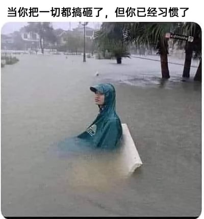 这是一张利用视觉错位效果制作的搞笑梗图，画面中的人穿着蓝色带帽雨衣，实际是坐在普通的椅子上，地面的浅积水和特殊拍摄角度营造出洪水淹没至胸口的错觉。图片上方配有文字“当你把一切都搞砸了，但你已经习惯了”，用这种看似身处绝境却淡然处之的画面，调侃人们在生活、工作中遭遇失败后，无奈接受现状、摆烂的心态，通过夸张的视觉效果放大了这种破罐破摔的情绪。