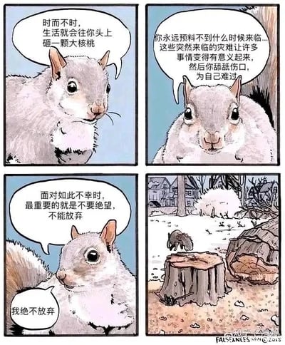 这是一幅四格连环卡通漫画，主角是一只松鼠。第一格中，松鼠感慨生活时不时会往人头上砸一颗大核桃；第二格它继续诉说，这些突如其来的灾难会让事情变得有意义，人会因此舔舐伤口、自怨自艾；第三格它表情坚定，强调面对不幸不能绝望、不能放弃，自己绝不放弃；第四格则展示了松鼠的行动：它趴在树桩上，专注地啃食，试图获取树洞里的大核桃。这里的“大核桃”是双关语，既是指代生活中突如其来的挫折与灾难，也是松鼠努力追求的目标，漫画用幽默具象的方式诠释了“永不放弃”的励志主题，将抽象的人生感悟转化为松鼠贴合自身需求的行动，充满趣味与治愈感。
